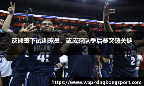 灰熊签下试训球员，或成球队季后赛突破关键